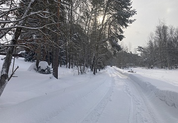 ������ ������� 12 ����� � ������� ��������� ���������� ������.