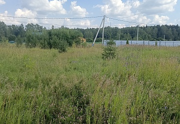     15     ., ..,  , 45 .  